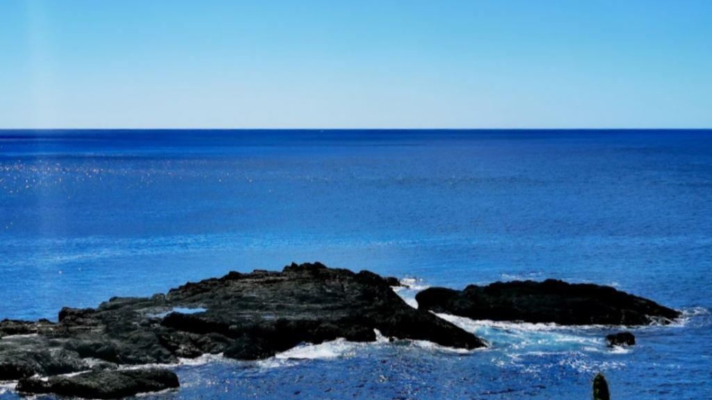 Mirador Concavas Pitahaya