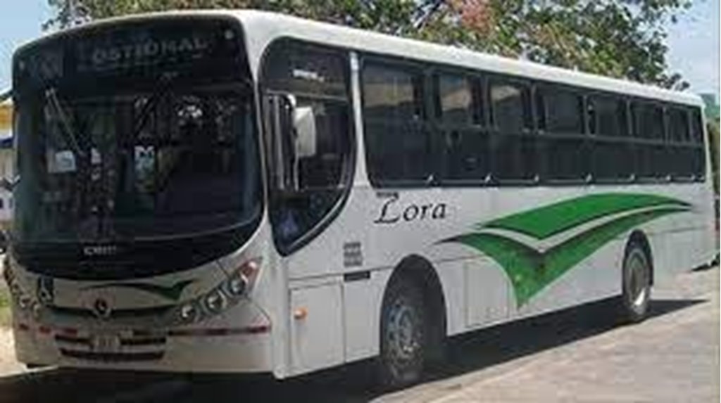 Servicios de Buses de Santa Cruz a Liberia