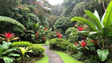 Servicio de Jardinería