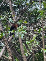 Villa Marbe 1  Beach Retreat 