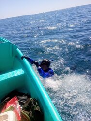 Tour de Snorkeling en Panga para hasta 4 Personas